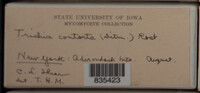 Image Associated With the Occurence